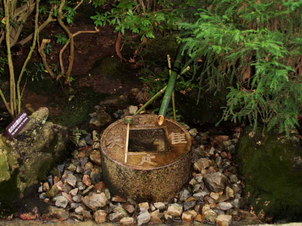 wabi-sabi-bamboo and water