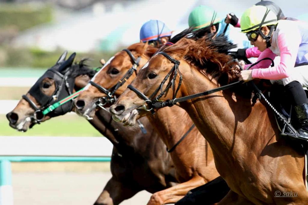競馬