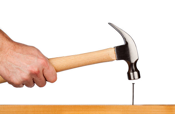 The Nail That Stick Up Gets Hammered Down - Land Of The Rising Son