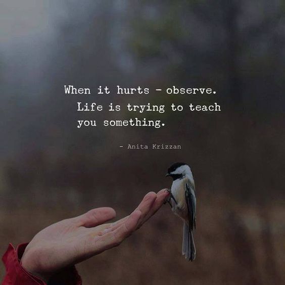 Every Pain Gives a Lesson