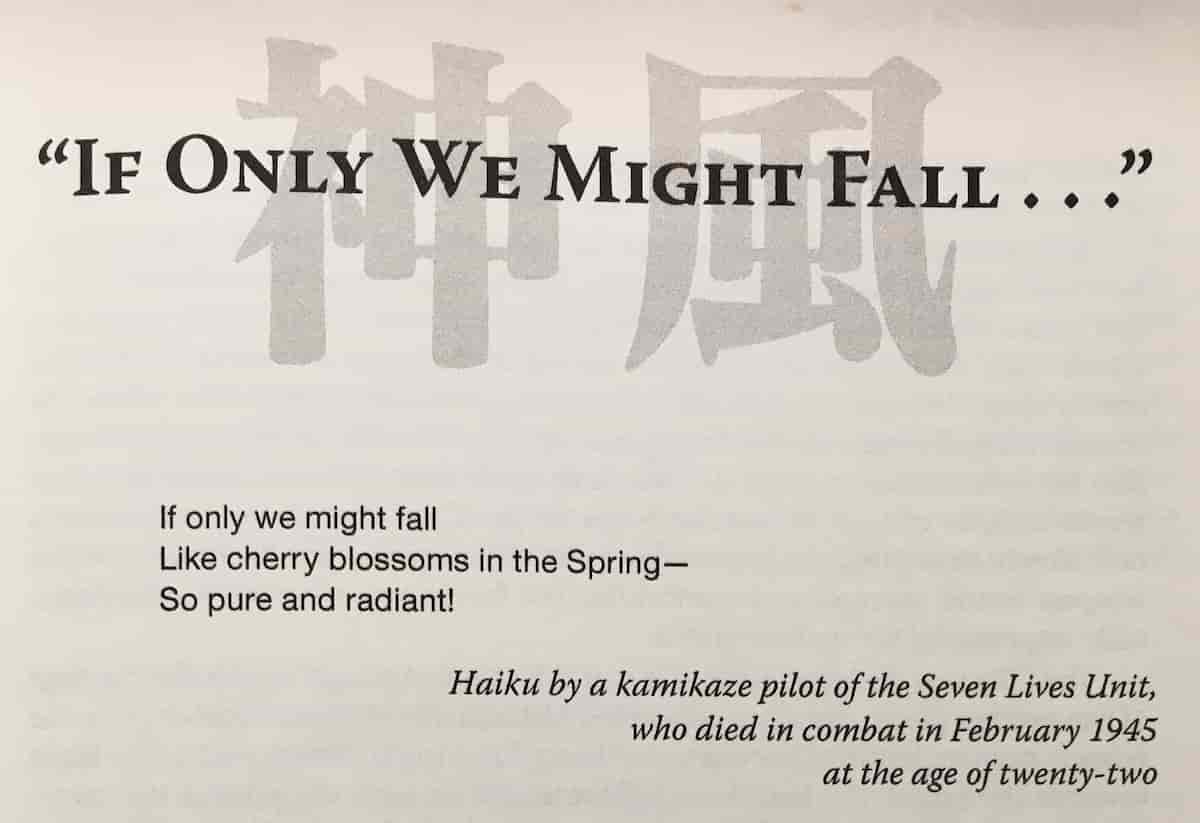 If Only We Might Fall