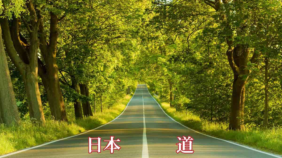 The Japanese Way Land Of The Rising Son