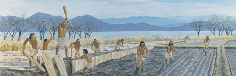 日本水田歴史 - Land Of The Rising Son