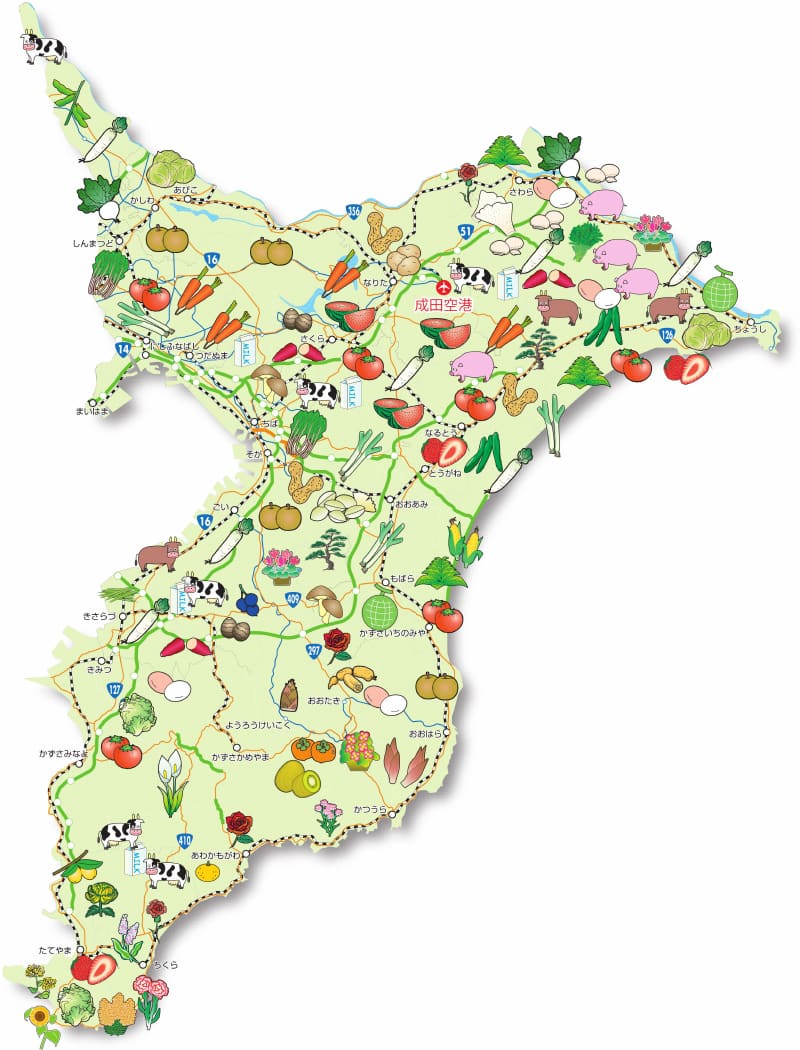 Chiba Ken Fun Map - Land Of The Rising Son