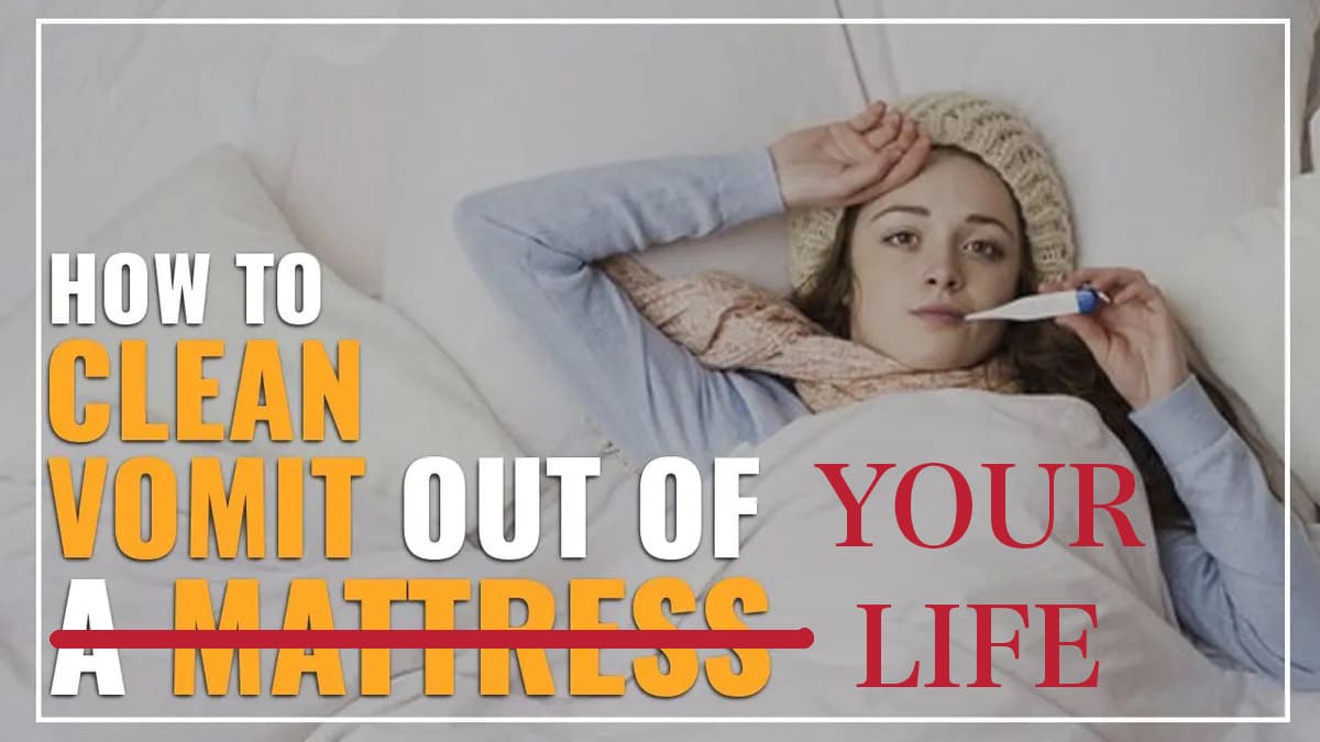 How To Clean Vomit Out Of Your Life - Land Of The Rising Son