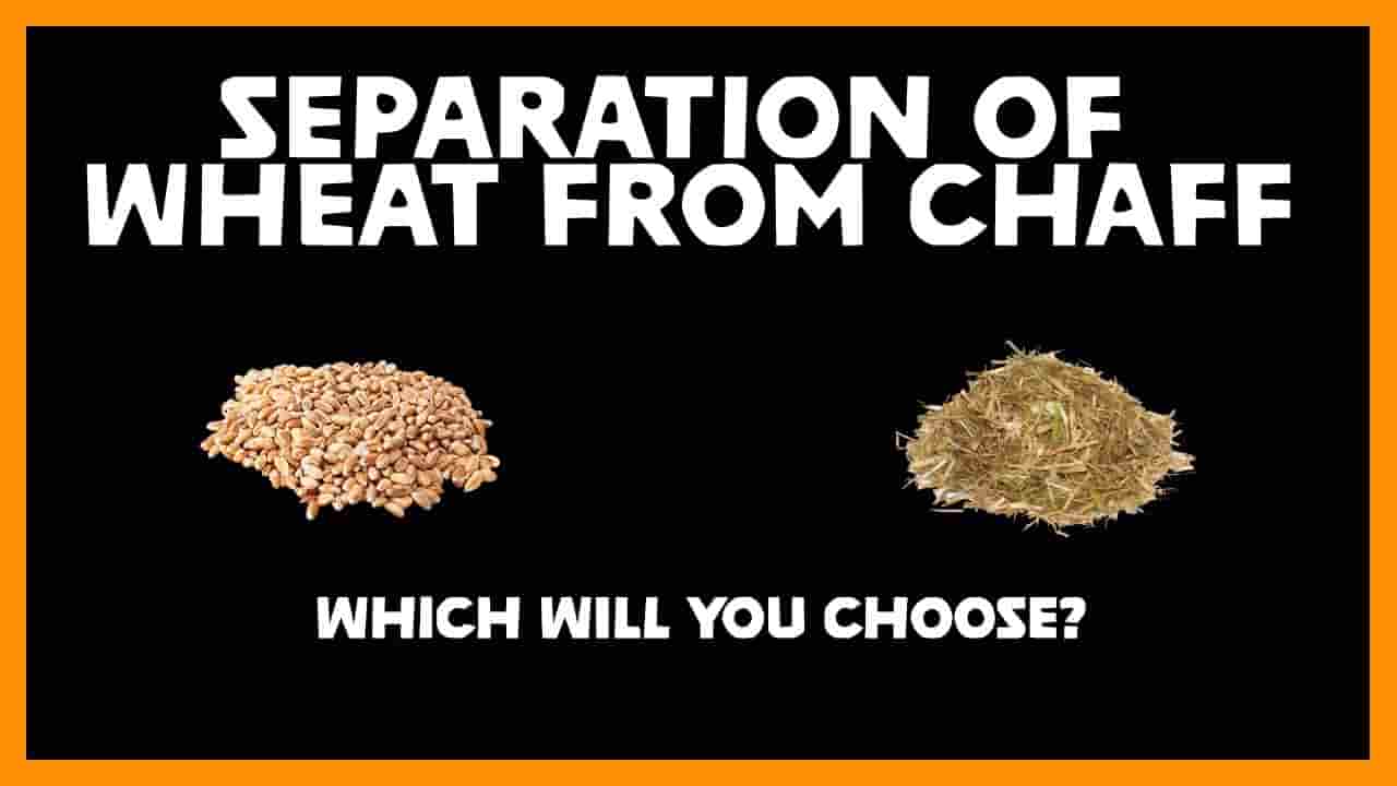 Separation of WHEAT from CHAFF - Land Of The Risaing Son