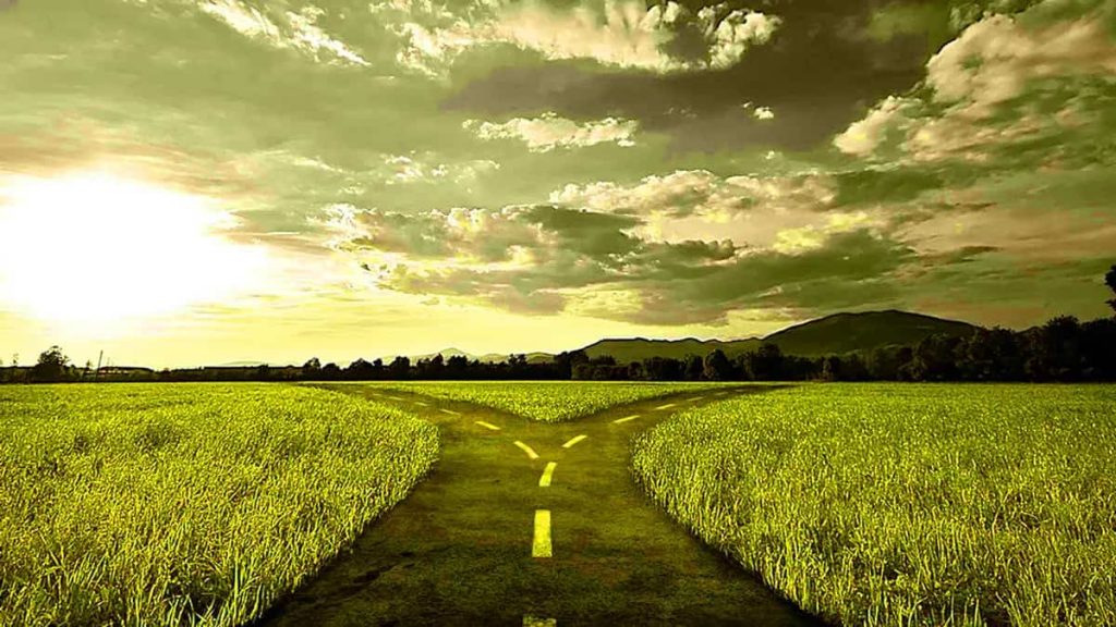 There's a Fork in the Road and You Should Take It- - Land Ωf The Rising SΩN - cybersensei
