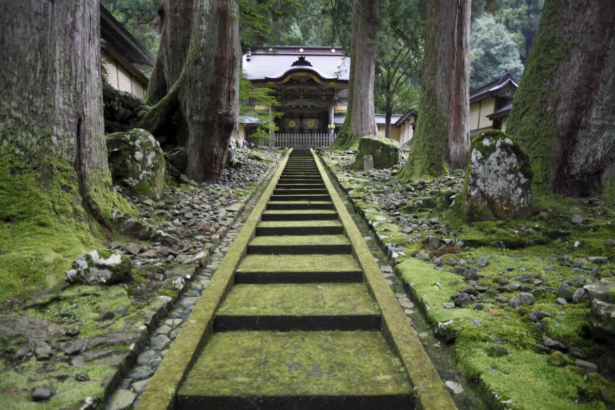 Stay In Japan Ms Tokyo Rose - Land Of The RIsing Son