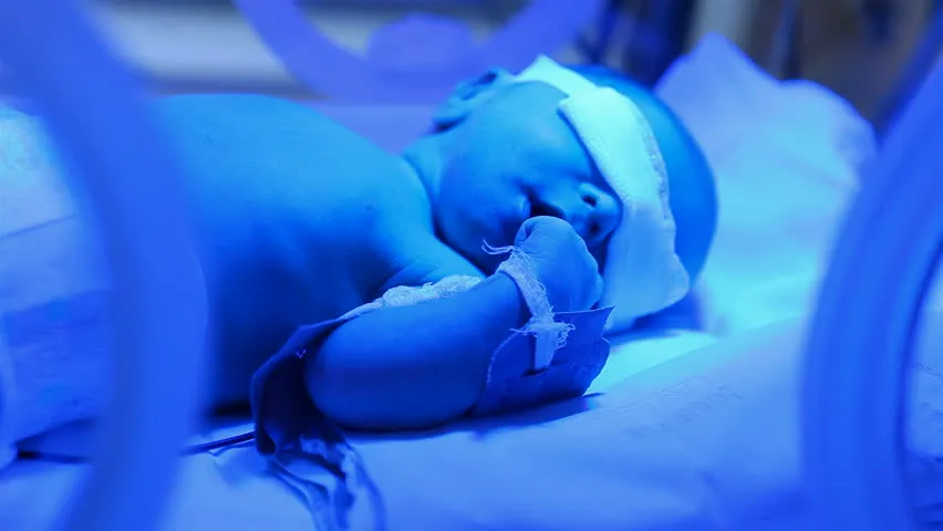 Premature baby in an incubator - Land Of The Rising Son