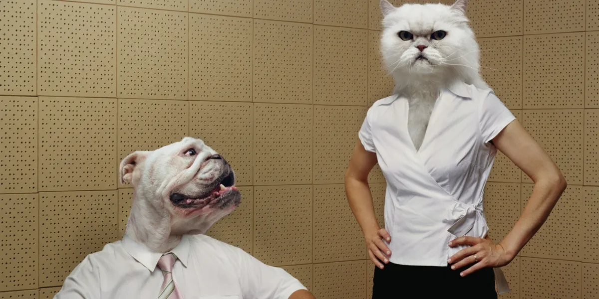 CAT-DOG-PERSON - Land Of The Rising Son