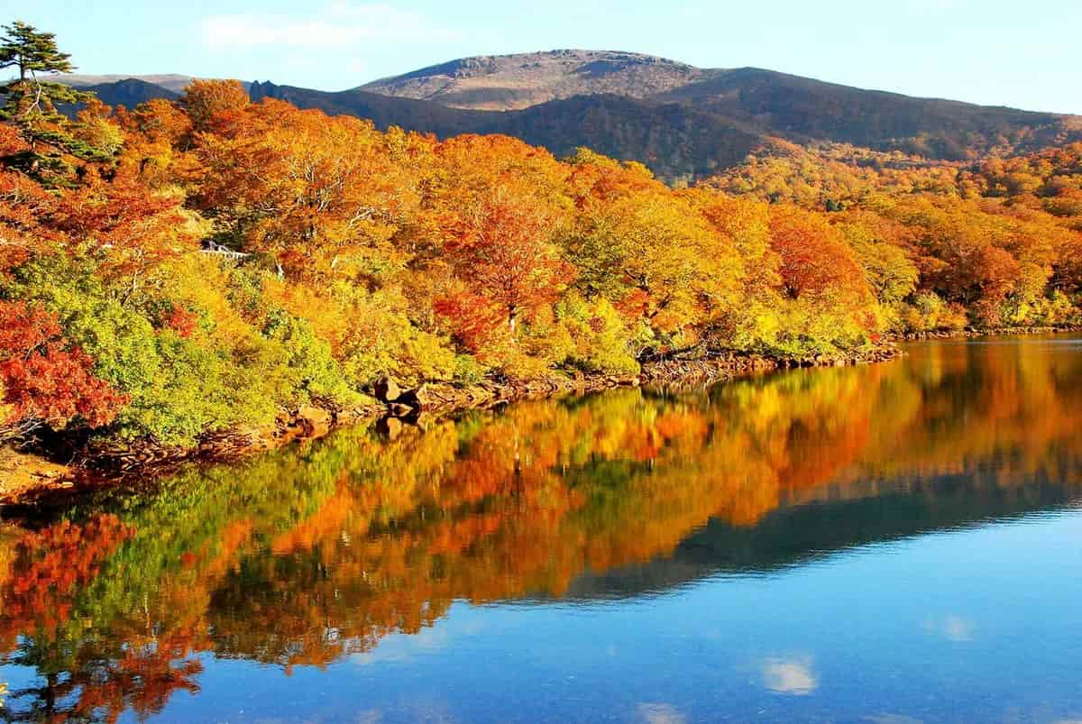須川高原の紅葉秋田県 - Land Of The Rising Son