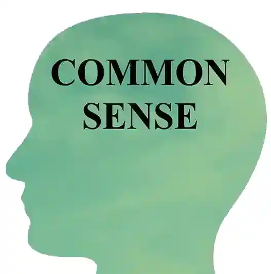 Common Sense Is The Key To Enlightenment- Land Of The Rising Son
