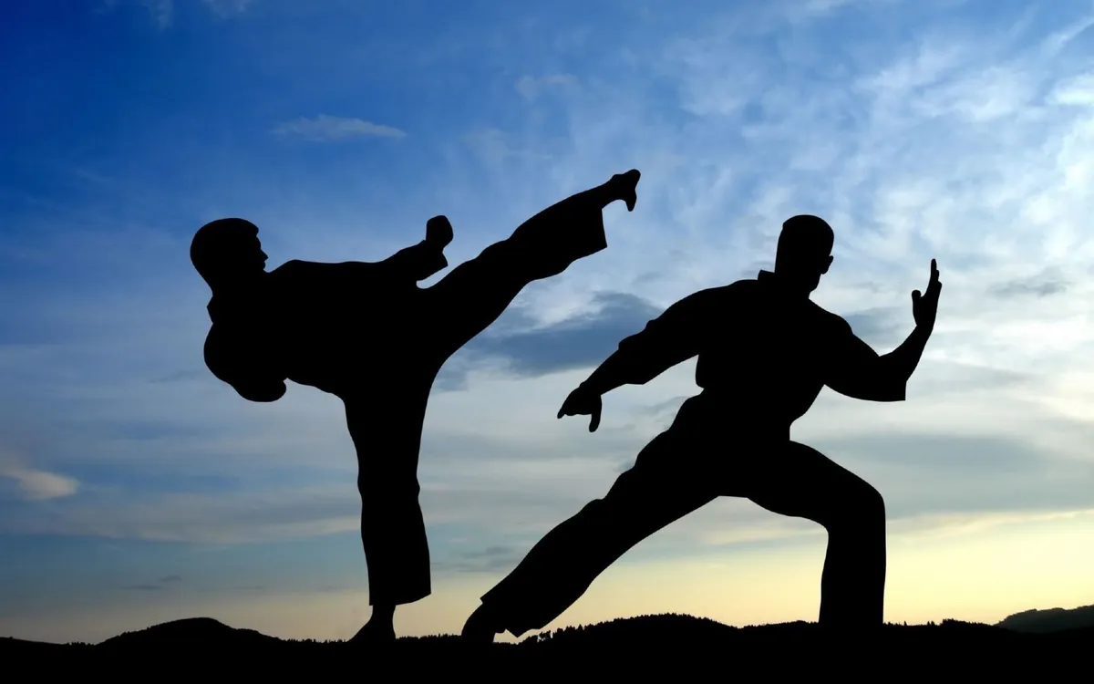 Martial Arts - Land Of The Rising Son