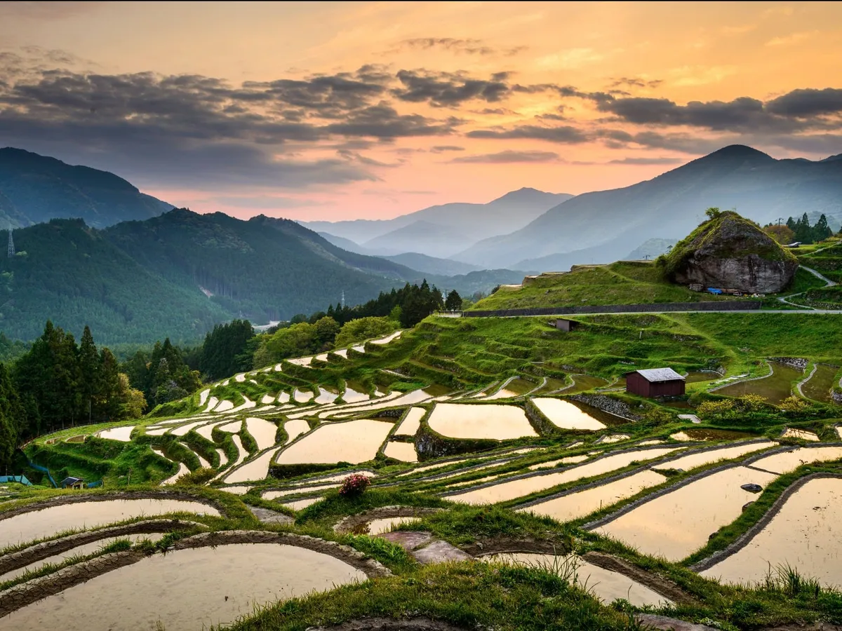 terraced rice field Japan - Land Of The Rising Son
