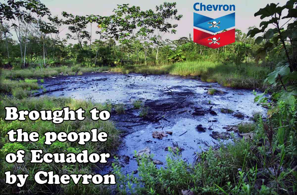 Chevron is a serial polluter - Land Of The Rising Son