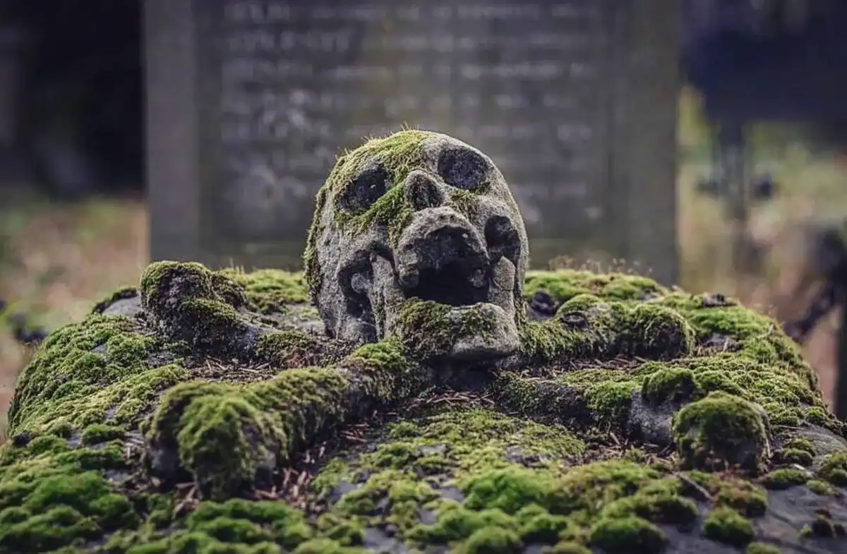 Skull graveyard graves mossy - Land Of The Rising Son