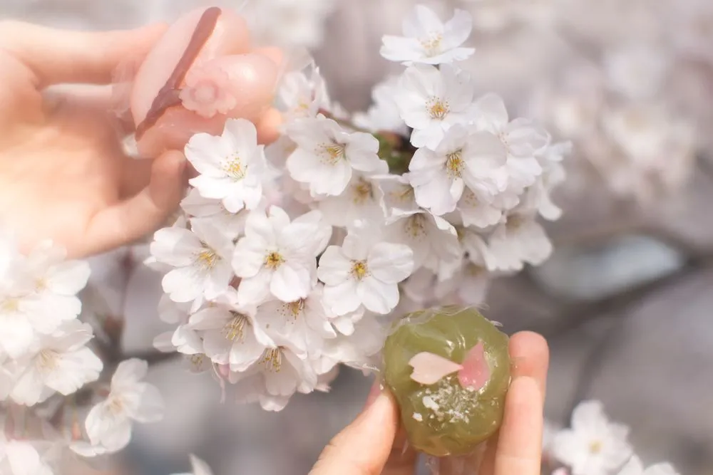 Nooks and Crannies of Japan - Land Of The Rising Son