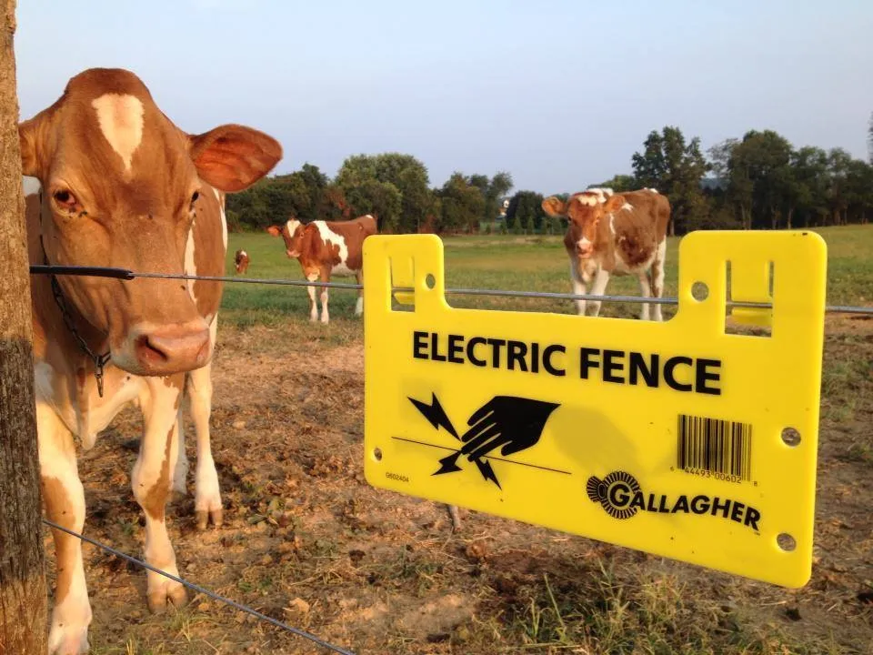 Warning electric fence - Land Of The Rising Son