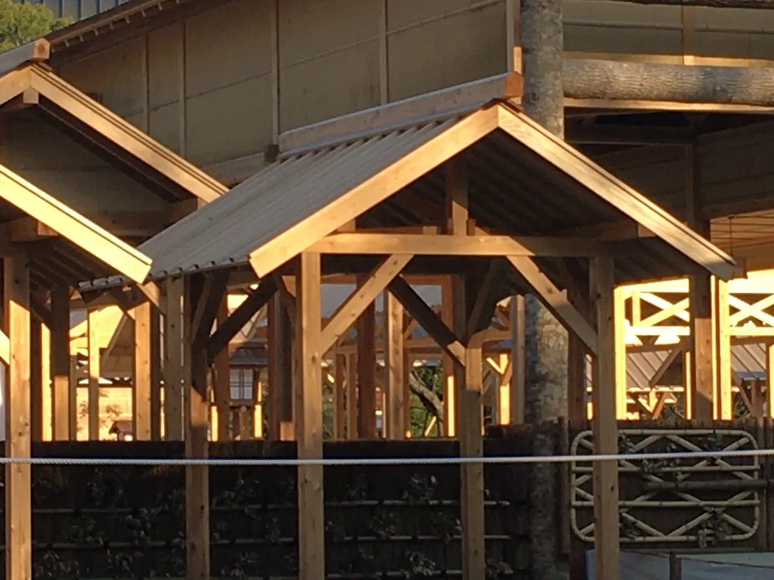 Gabled gateways of bare timber in front of the Daijōkyū halls.
