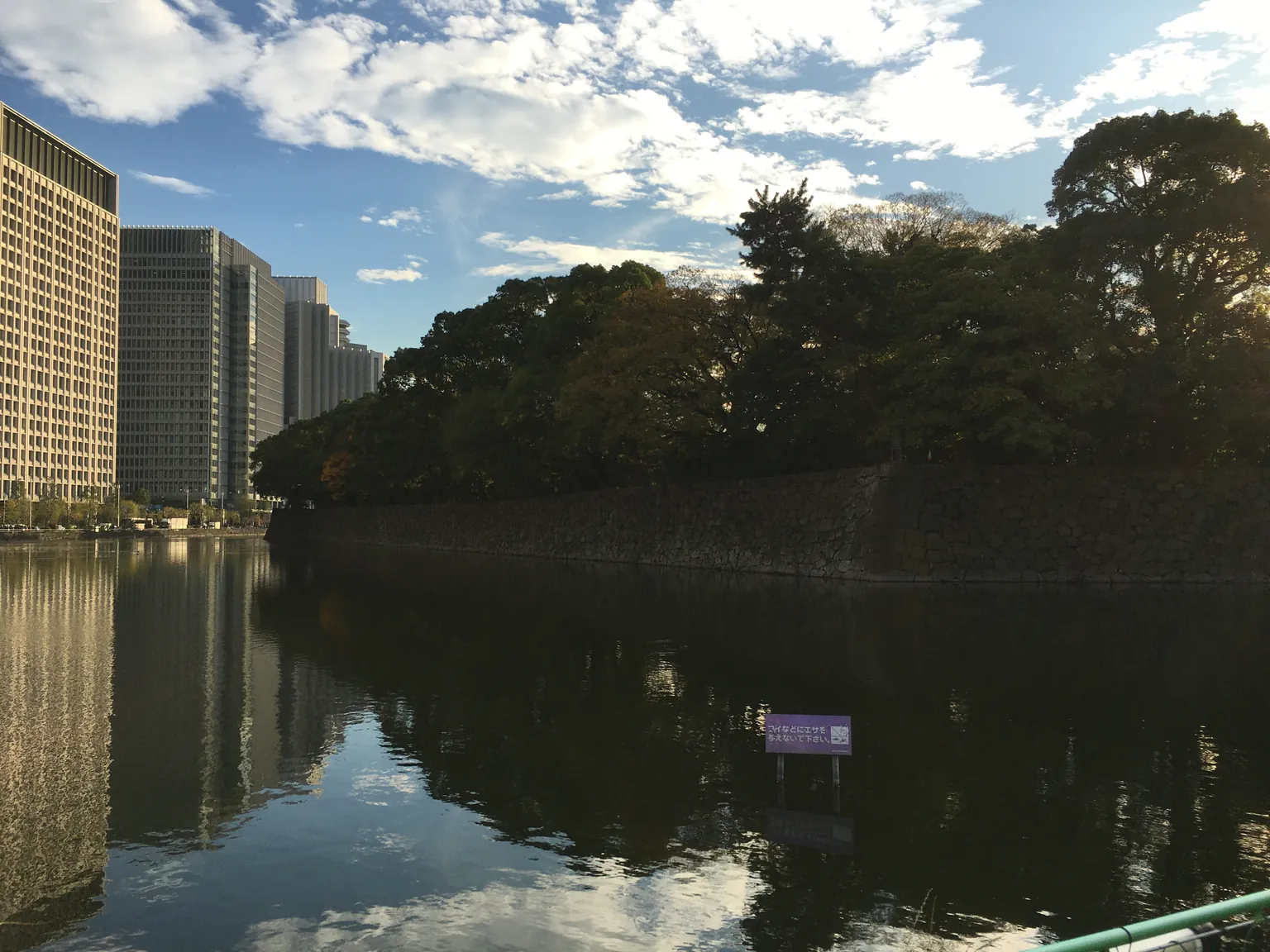 The palace moat at dusk, reflecting a wooded bank on one side and office towers on the other.
